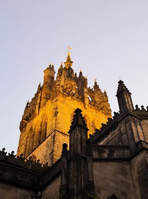 Free Light Lighting photo and picture