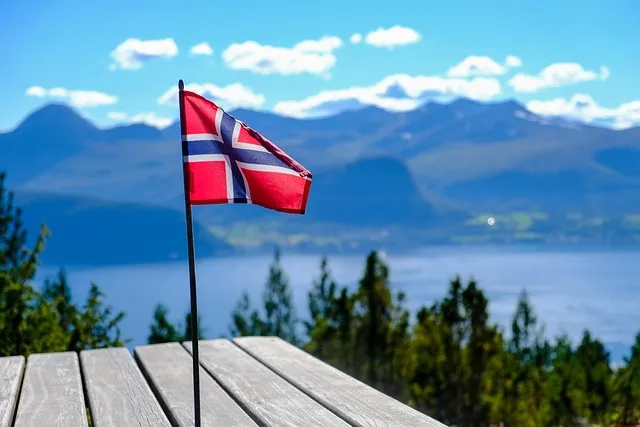 Free Norway Flag photo and picture