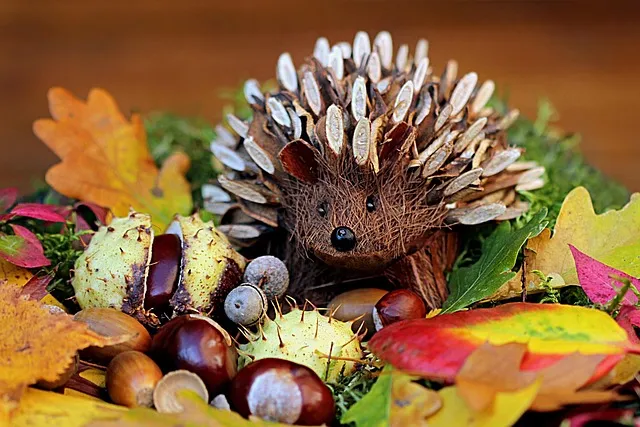 Free Still Life Hedgehog photo and picture