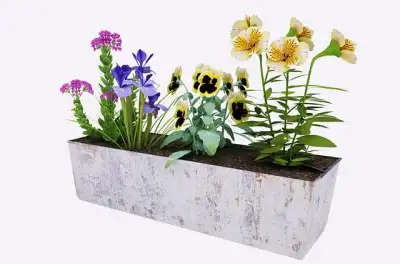 Free Tree 3D illustration and picture