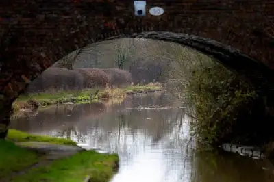 Free Canal Winter photo and picture