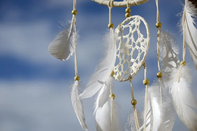 Free Dreamcatcher Feathers photo and picture