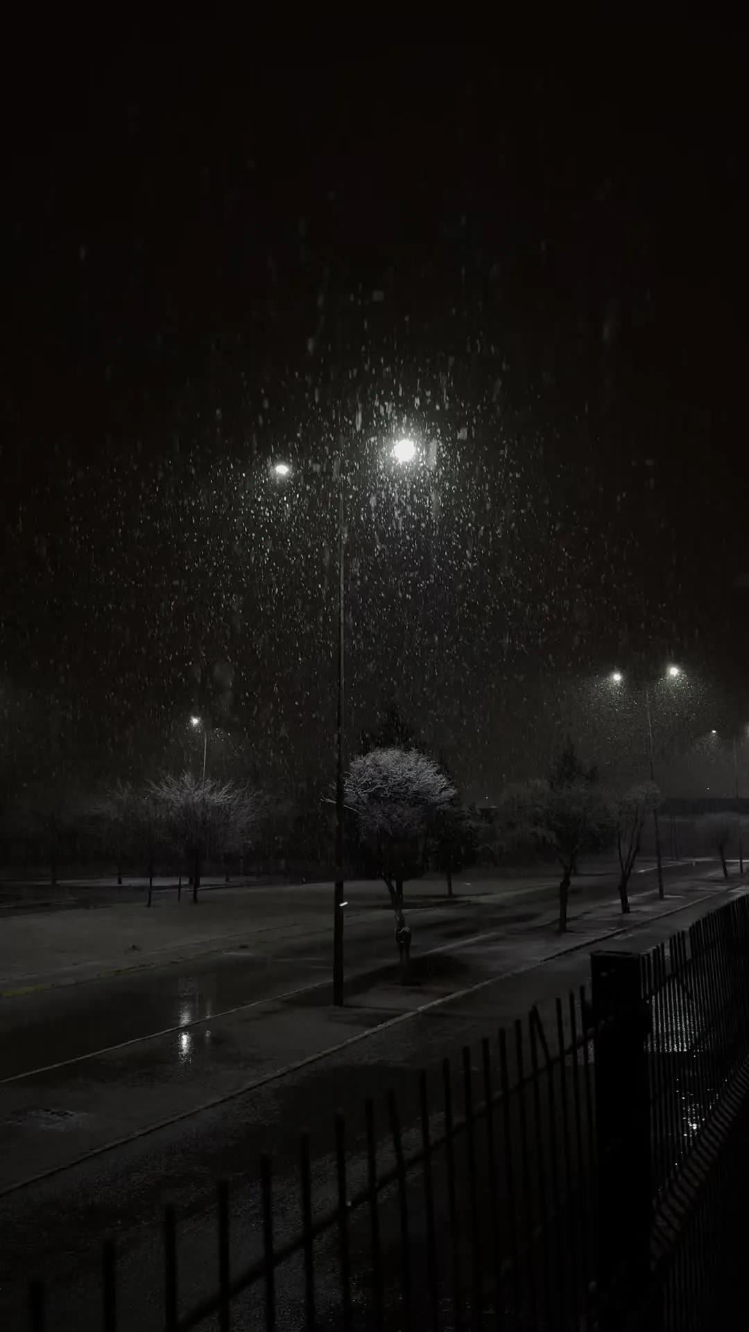 the street lights are lit up on a dark night in the park, with snow falling all around