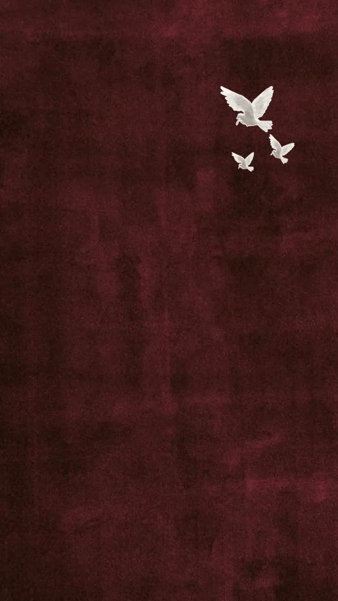 two white birds flying in the sky on a red background with black and white border