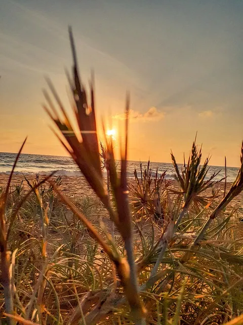 Free Sunrise Sunset photo and picture