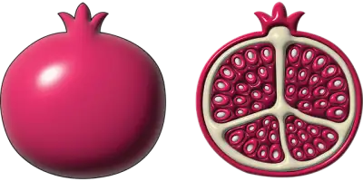 Free Pomegranate Fruit vector and picture