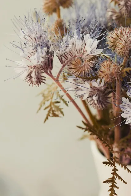 Free Vase Blumenstrauß photo and picture