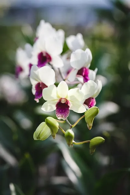 Free Natural Pure photo and picture