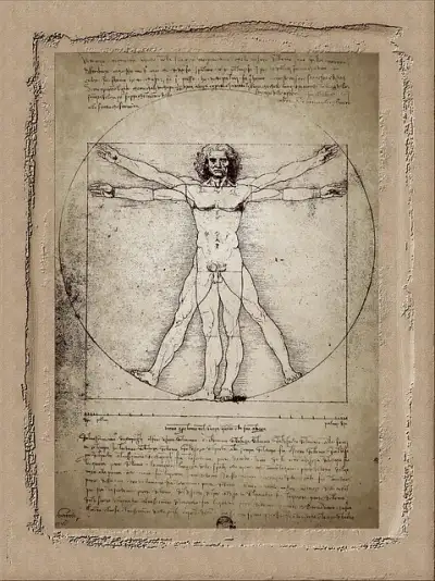 Free Vitruvian Man Drawing photo and picture