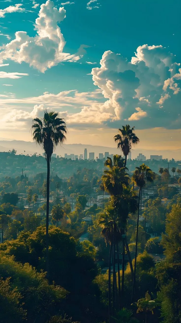 palm trees in the foreground with a city skyline in the background