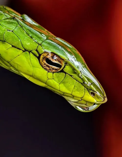 Free Photography Nature photo and picture