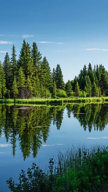 Free Lake Mobile Wallpaper 4K photo and picture