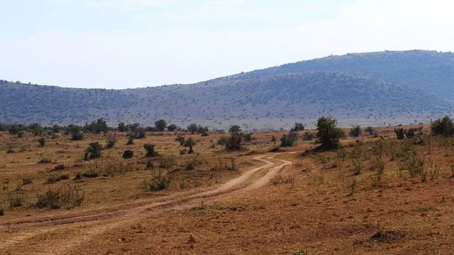 Free Landscape Mountain photo and picture