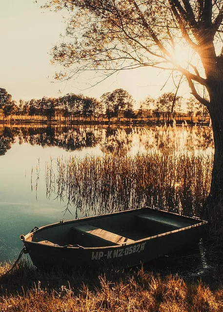 Free Boat Lake photo and picture