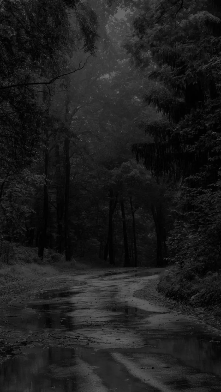 black and white photograph of a wet road in the woods