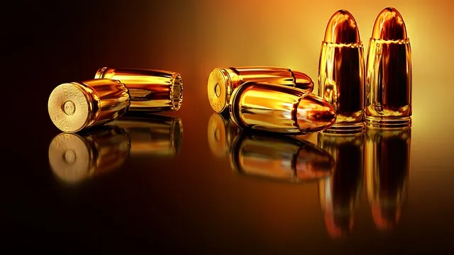 Free Bullets Shells photo and picture