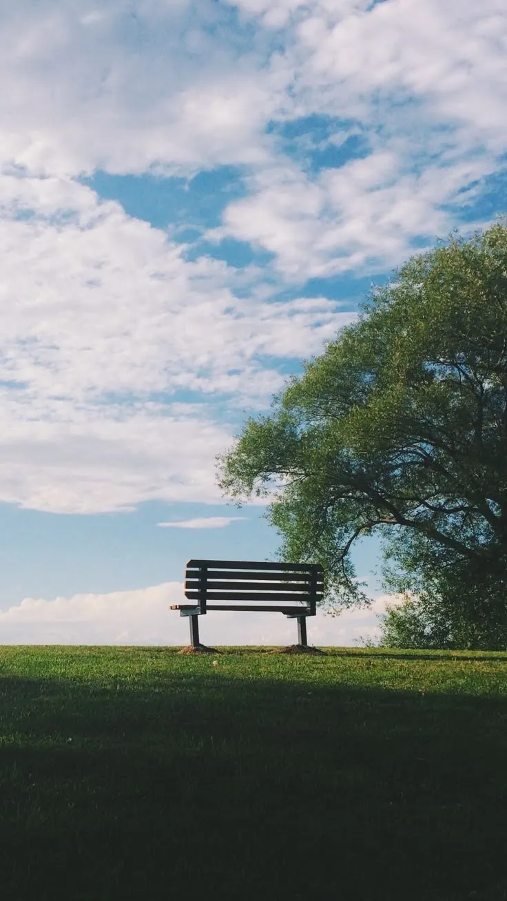 a park bench sitting on top of a lush green field under a blue cloudy sky