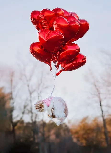 Free Balloons Heart photo and picture
