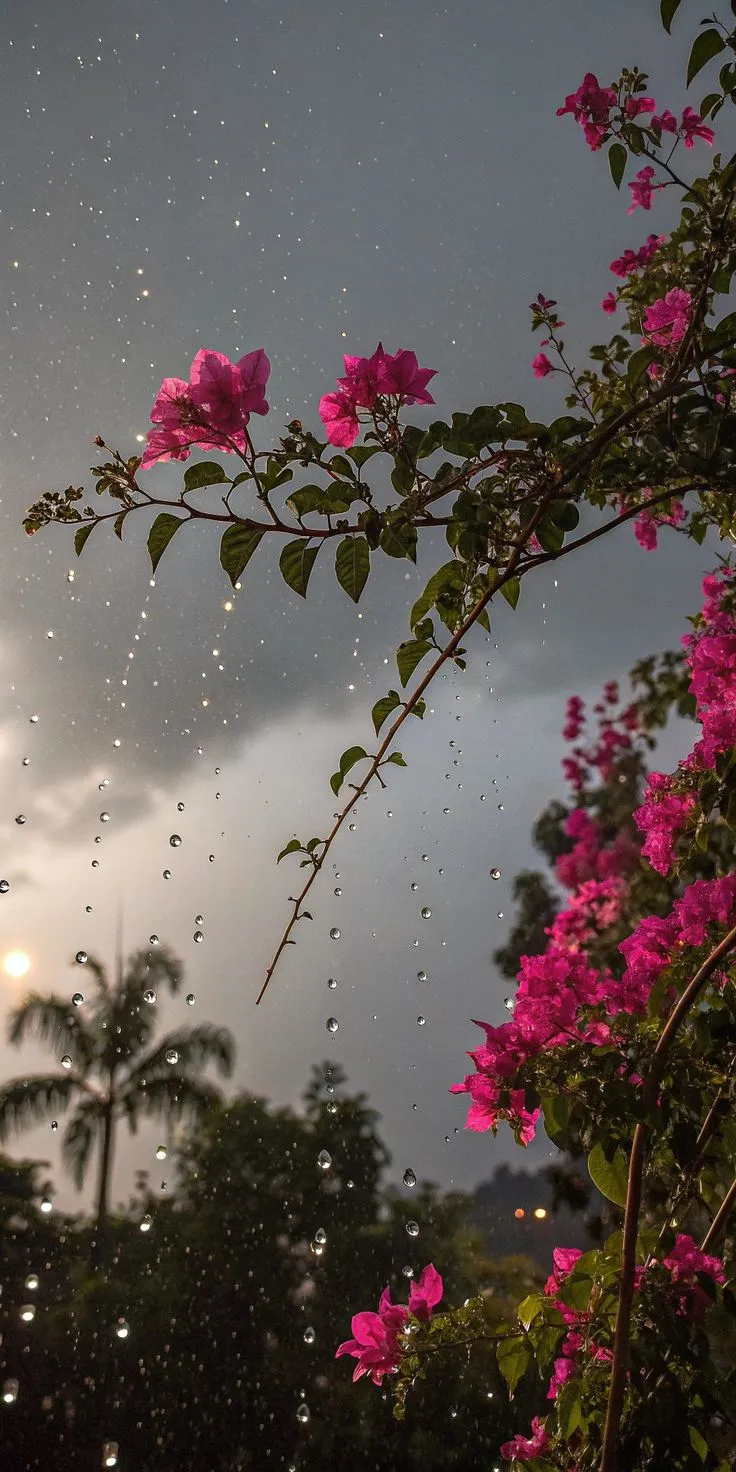 pink flowers are blooming in the rain on a cloudy day with sun shining through