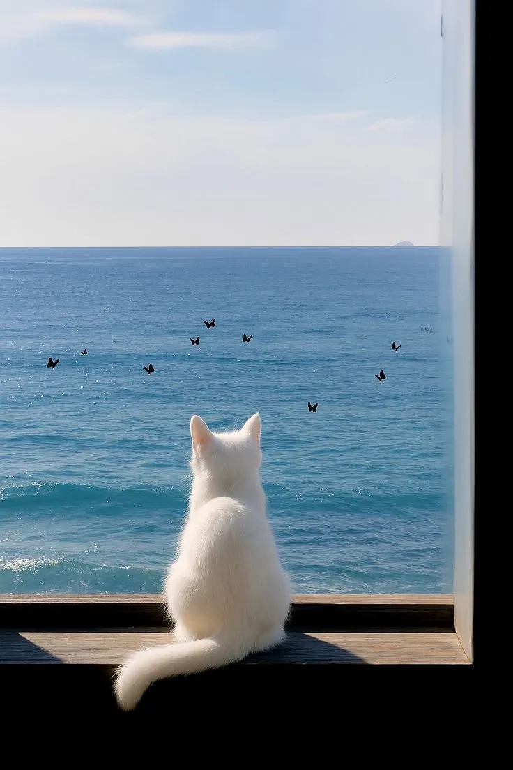a white cat sitting on top of a window sill looking out at the ocean