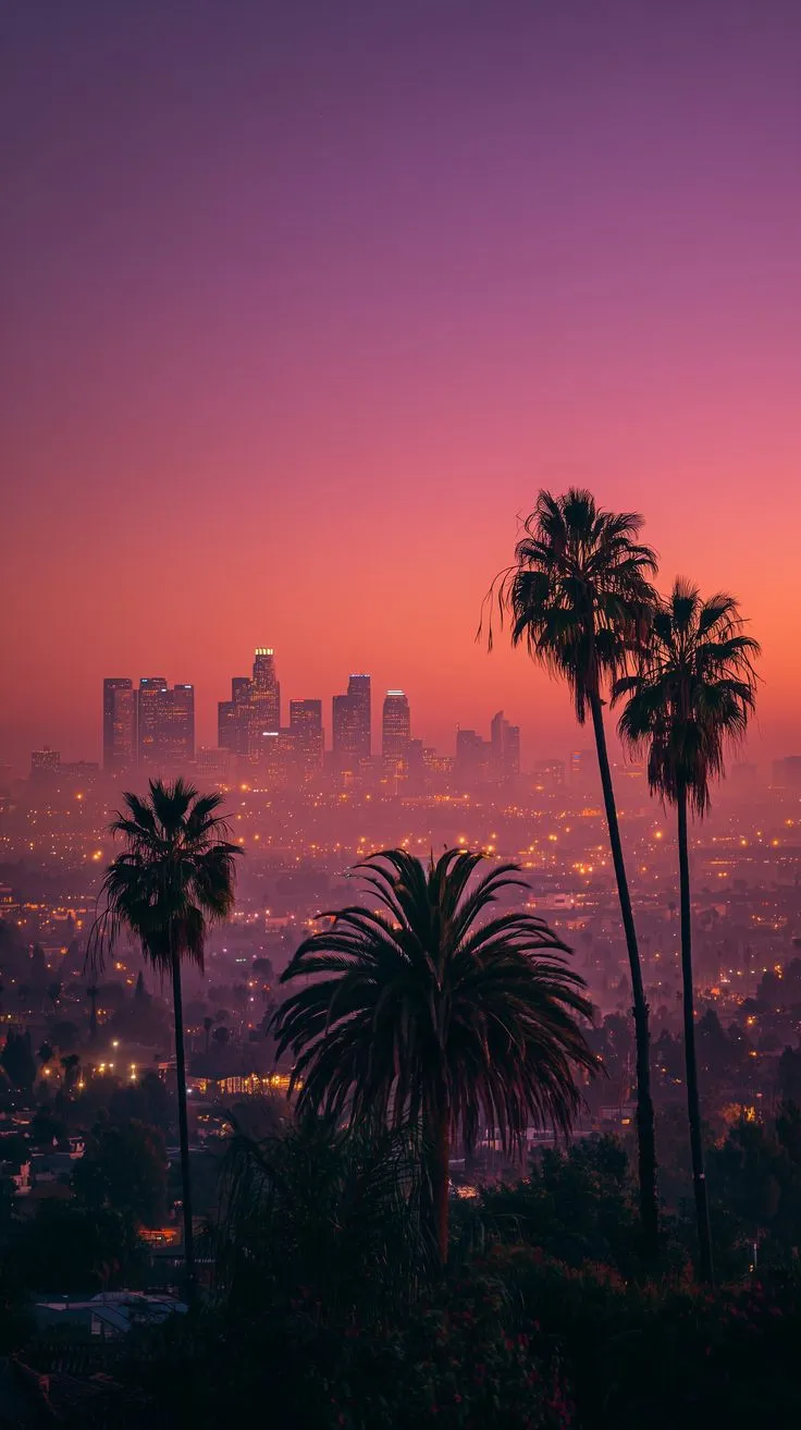 palm trees in the foreground with city lights in the background at sunset or dawn