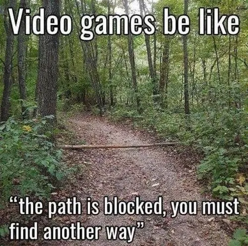 the path is blocked, you must find another way and then play video games be like