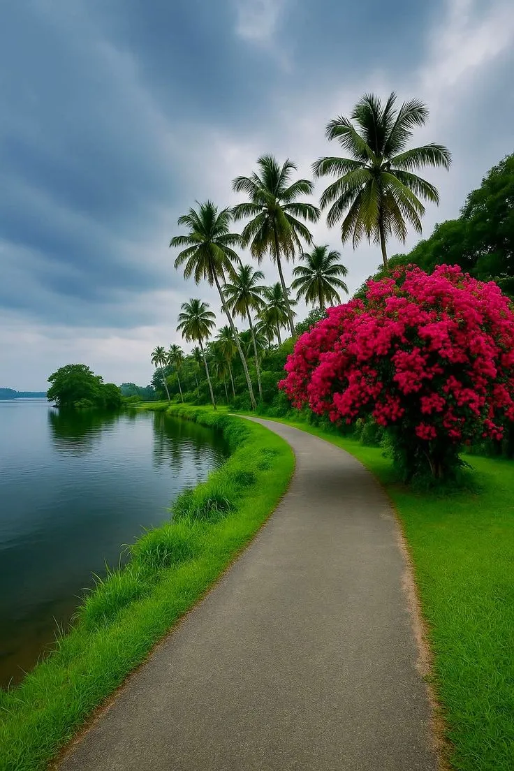 Beautiful Nature,nature photography natural nature natur beauty beautiful flowers flower wallpaper