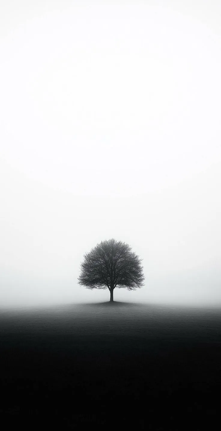 a lone tree stands in the middle of a field on a foggy, overcast day
