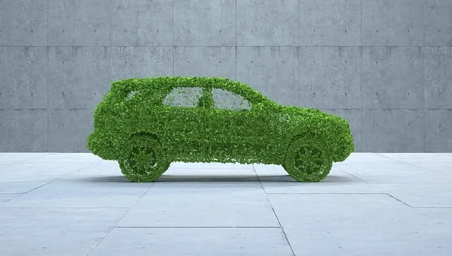 Free Leaves Car illustration and picture