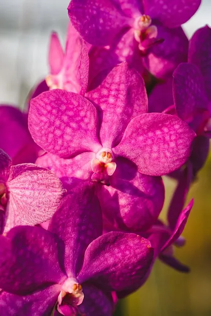 Free Natural Pure photo and picture