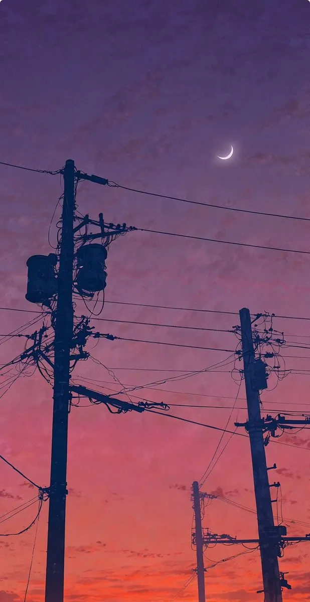 the sun is setting behind power lines and telephone poles