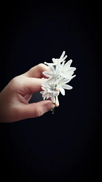 Free Nature Plant photo and picture