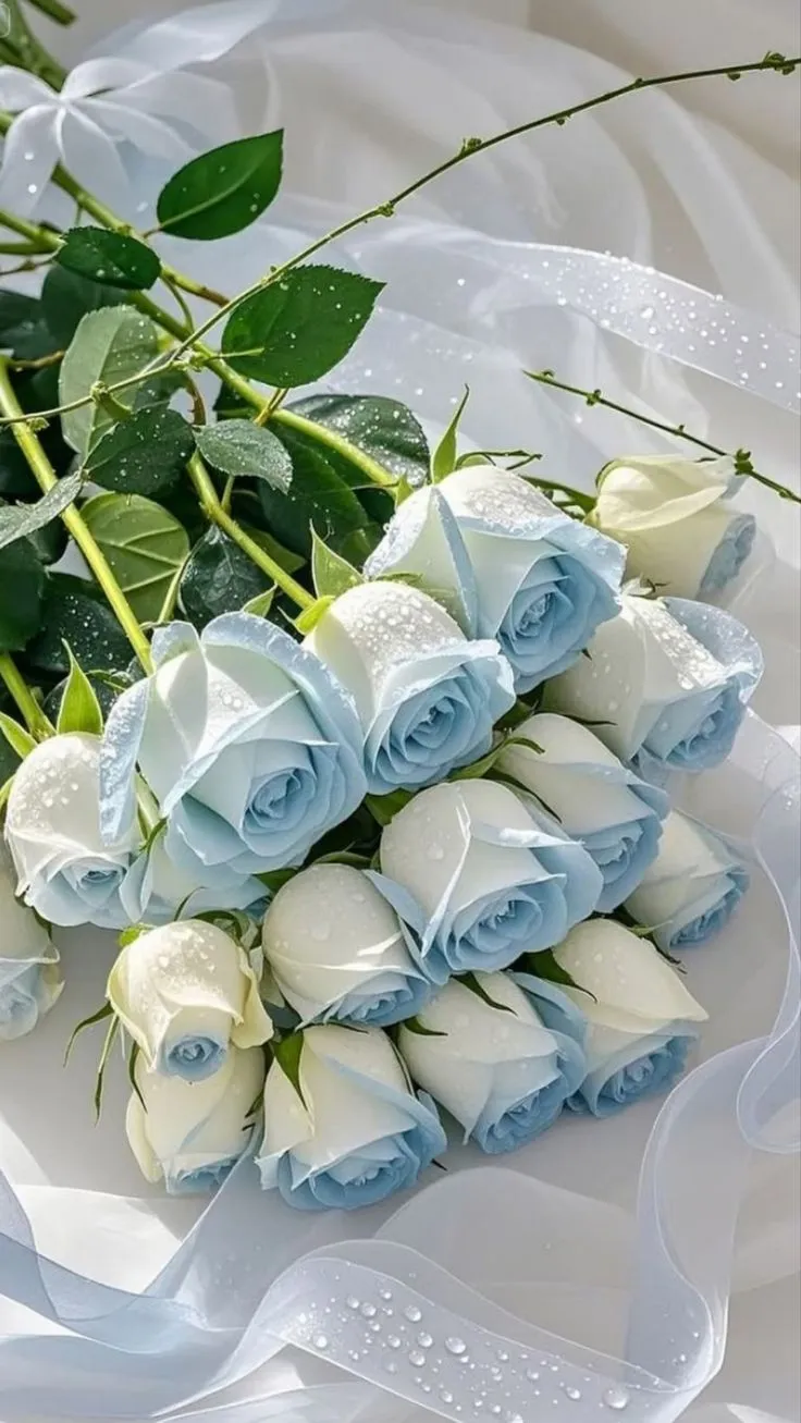 a bouquet of white and blue roses with water droplets