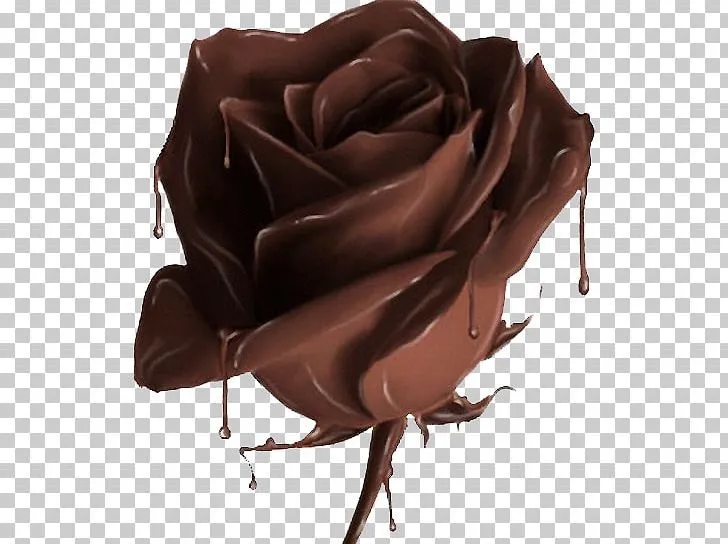 Chocolate Cake ChocolateChocolate Hot Chocolate Marzipan PNG