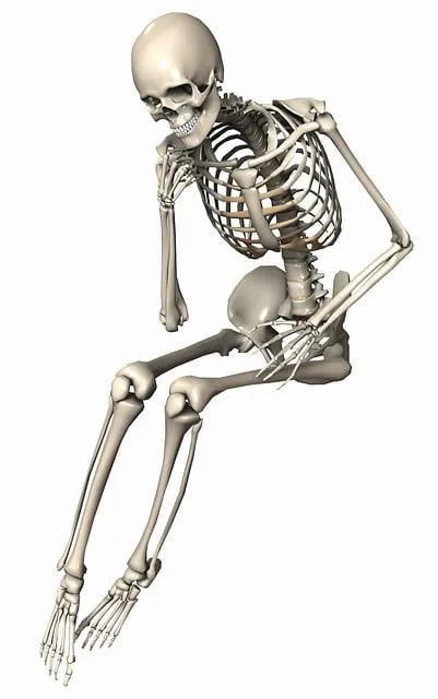 Free Skeleton Sitting illustration and picture