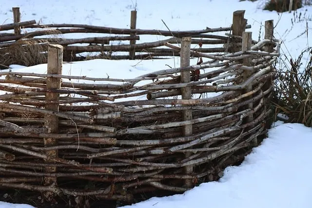 Free Natural Fence Winter Landscape photo and picture