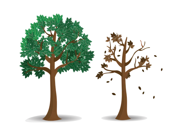 Free Trees Autumn illustration and picture