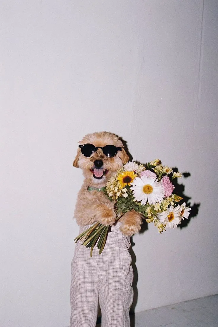 Meet the Fashion Icon of Spring