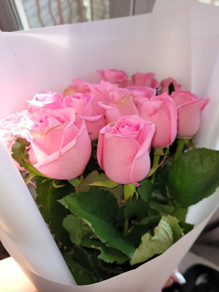 Розы Цветы Букет