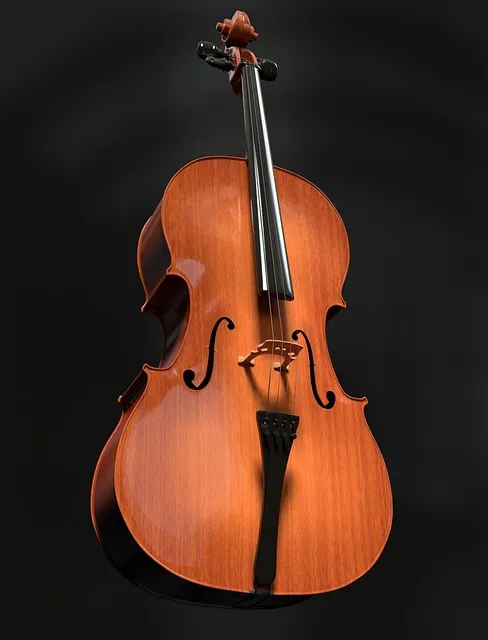 Free Cello Violoncello photo and picture