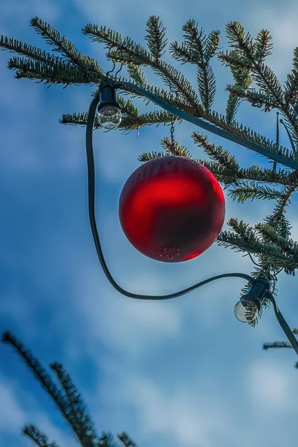Free Christmas Ornament Ball photo and picture