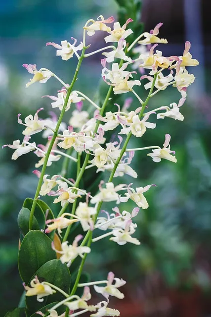 Free Natural Pure photo and picture