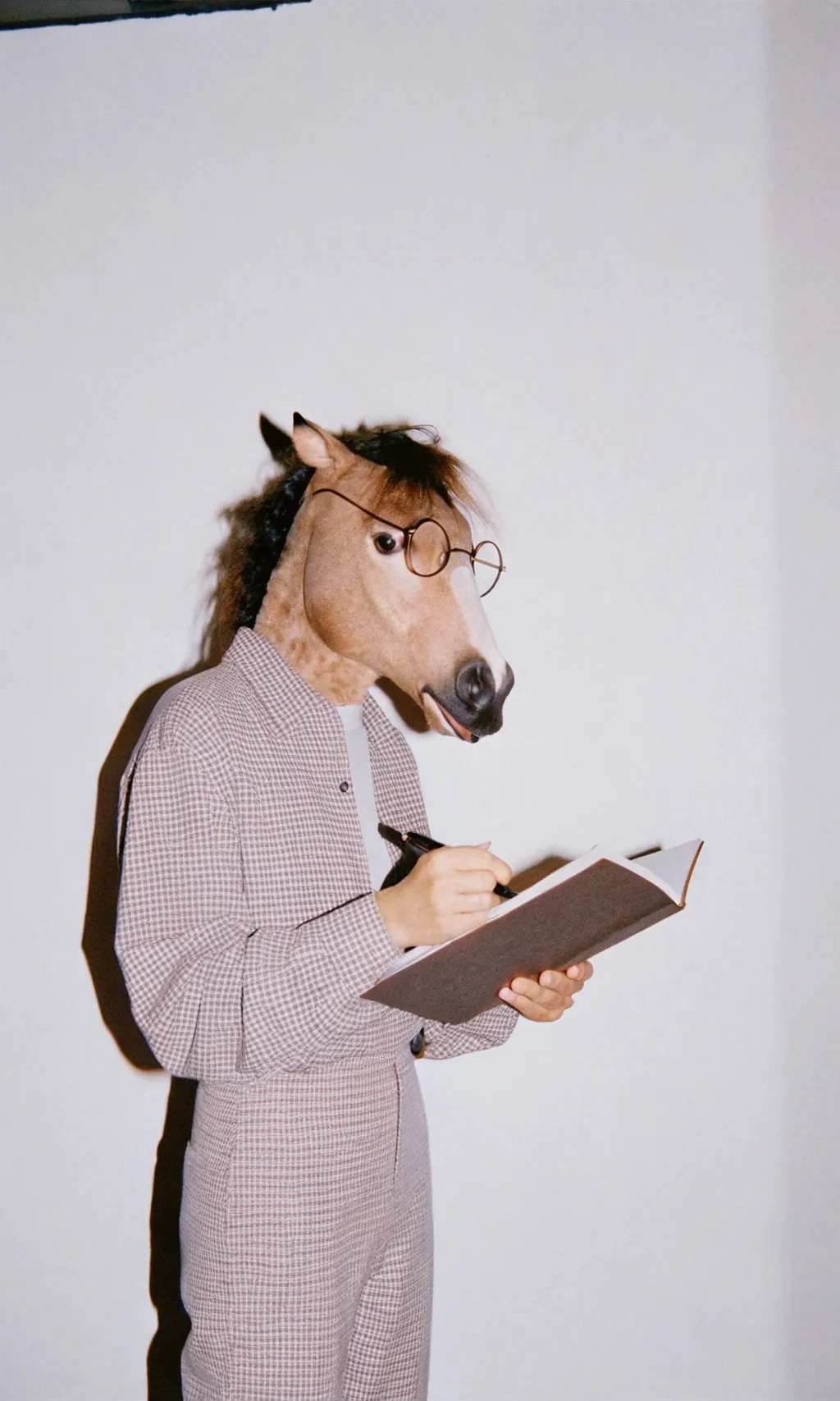 A creative and unique passport-style photo of a horse with...