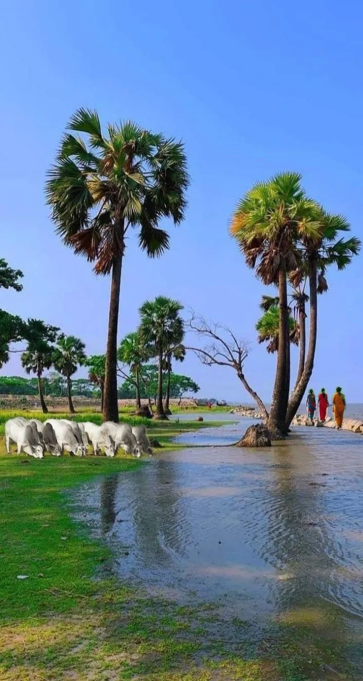 palm trees and cows are standing in the water