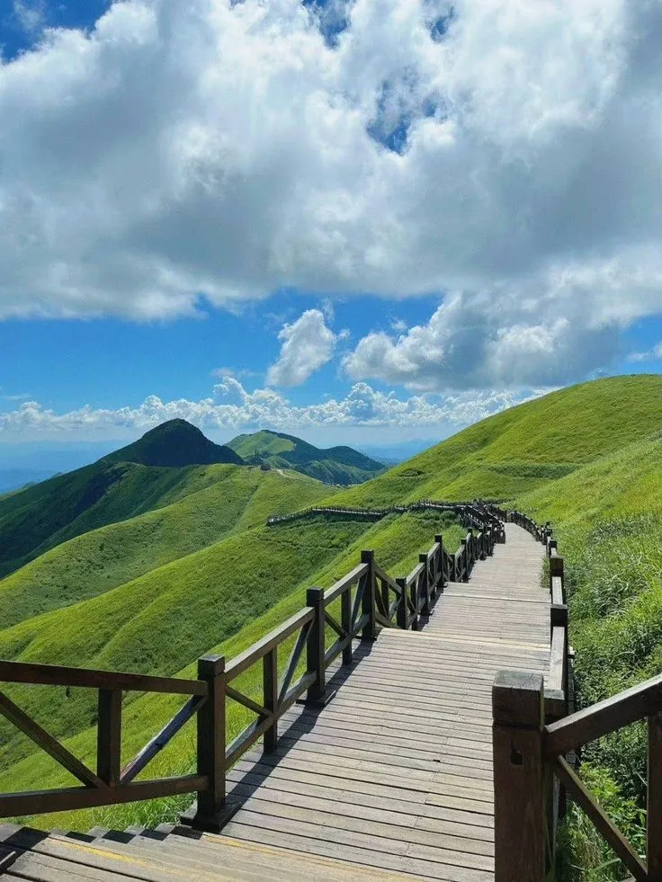 a wooden walkway leading to the top of a grassy hill