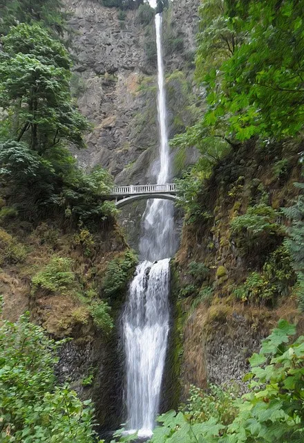 Free Waterfall Forest photo and picture