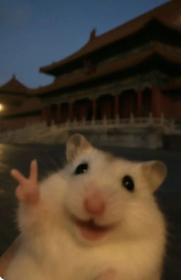 a close up of a person's hand holding a hamster in front of a building