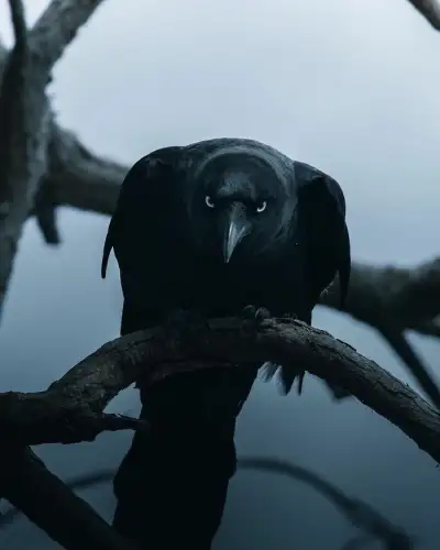 A Selection Of The Most Striking Images Of The Animal Kingdom For A Bit Of Entertainment And Giggles (30 New Pics)