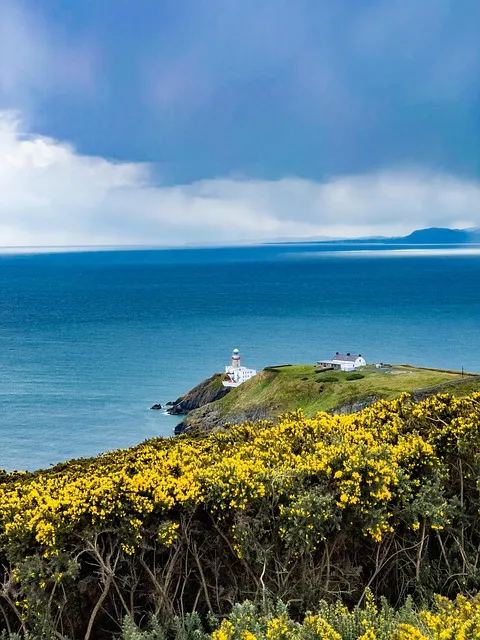 Free Sea Cliff photo and picture