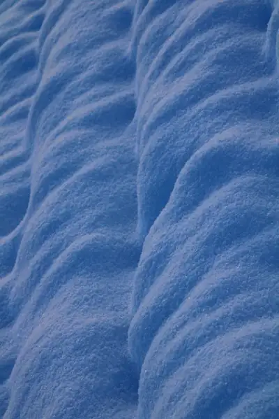 Free Snow Winter Landscape photo and picture